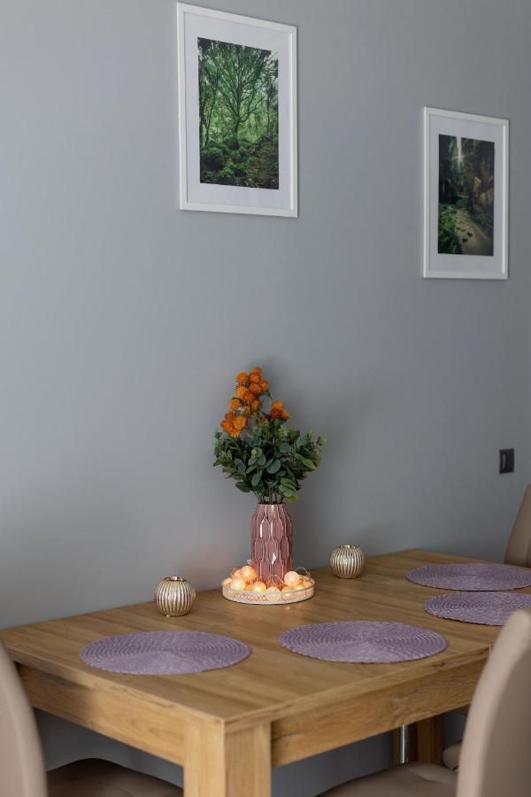 דוז'ניקי ז'דרוז' Apartament Silver מראה חיצוני תמונה